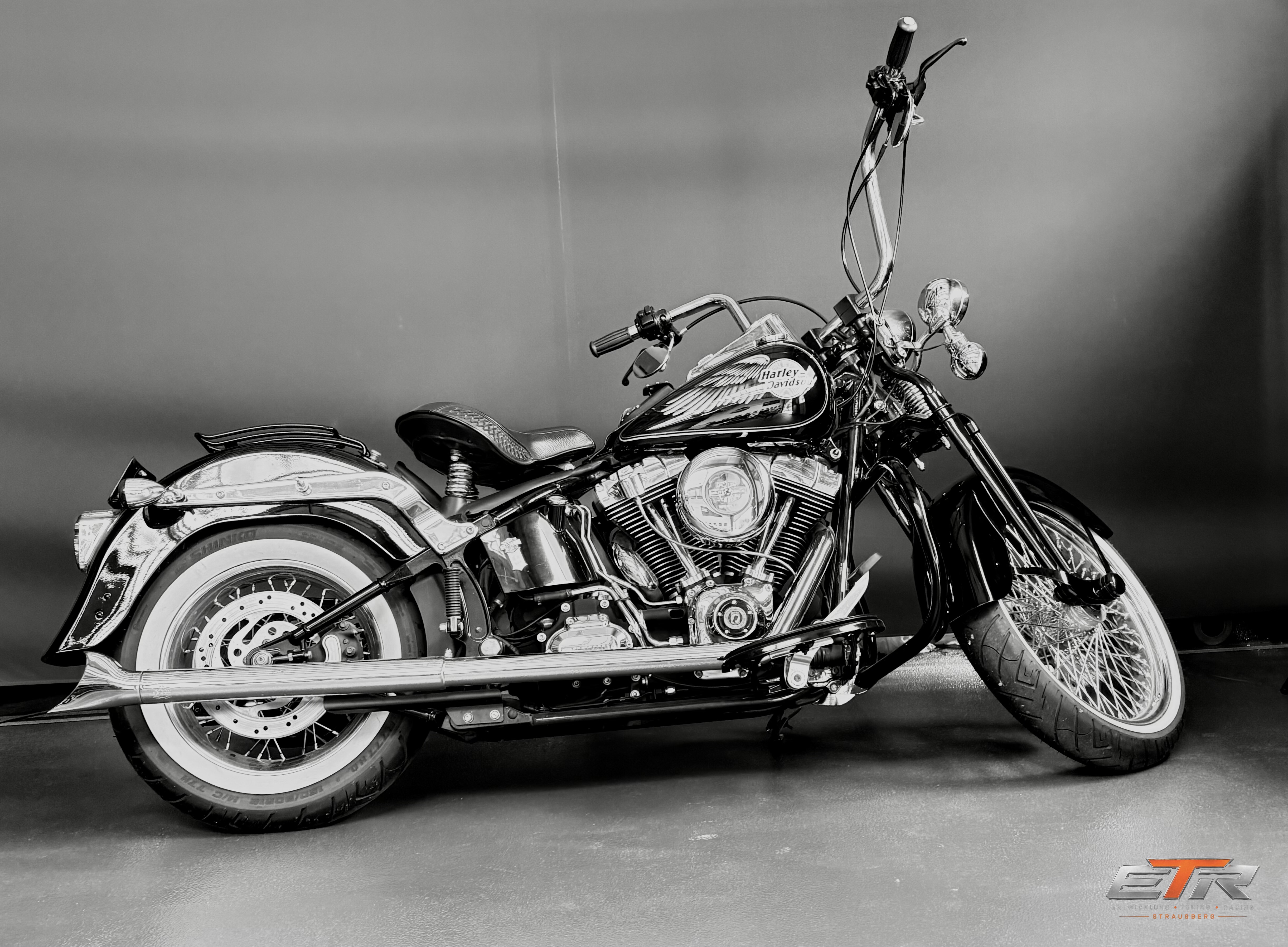 Harley Davidson Springer